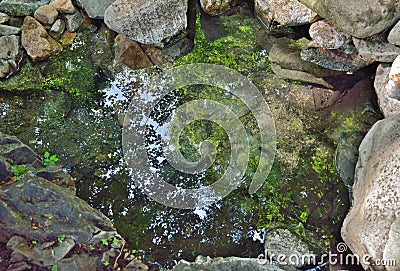 Mineral spring 5 Stock Photo
