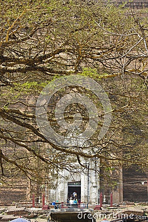 The Mingun Pahtodawgy behind a tree Editorial Stock Photo