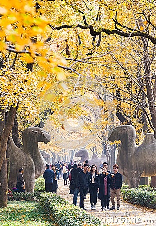Autumn in Nanjing Mingxiao Mausoleum Editorial Stock Photo
