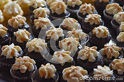 Mini Cupcakes with Frosting on Top Stock Photo