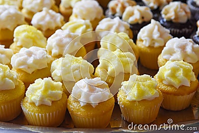 Mini Cupcakes with Frosting on Top Stock Photo