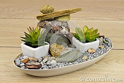 Mini-garden with stones Stock Photo