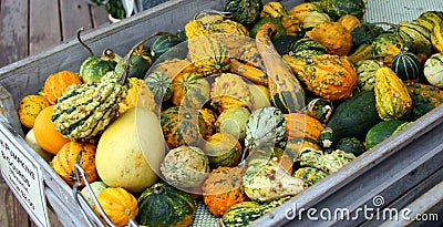 mini harvest Stock Photo