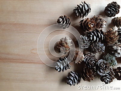 Mini pinecones with wooden background. Rustic nature natural background with space for font Stock Photo