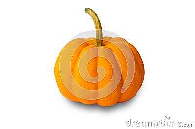 Mini pumpkin yellow,small pumpkin isolated on white Stock Photo