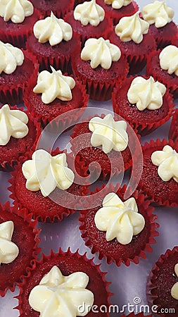 Mini Red Velvet Cupcakes - Freshly Baked - Just out of the oven - Bakery Style Cakes Editorial Stock Photo