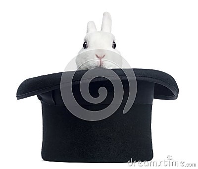 Mini rex rabbit appearing from a top hat, isolated Stock Photo