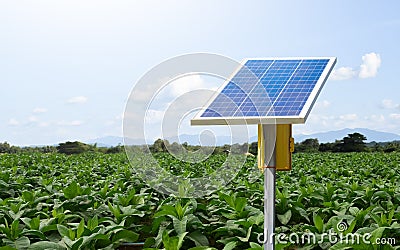 Mini solar cell panal Stock Photo