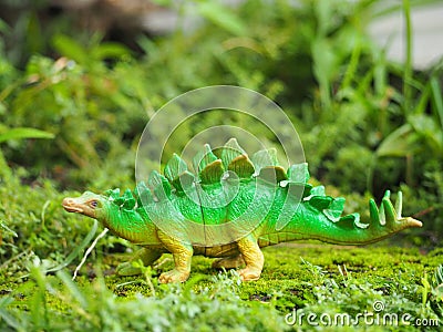 Mini toy of dinosaurs (stegosaurs / stegosaurus). Prehistoric animal concept design. Stock Photo