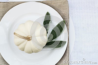 Mini White Pumpkin on a Plate Stock Photo