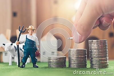 Miniature Farmer and cow figure model, Hand putting money coin stack on Simulation grass Stock Photo