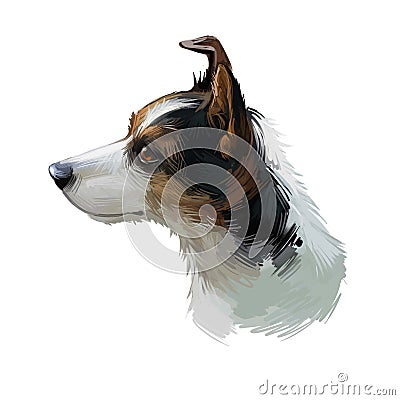 Miniature fox terrier hunting and working dog digital art illustration. Canine portrait, profile closeup of lightweight small and Cartoon Illustration