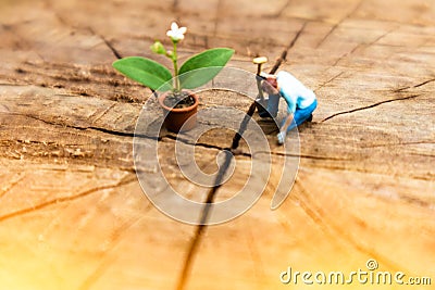 Miniature Greenhouse concept, miniature mini figures with planting tree and protect nature background. Replacement of old trees. Stock Photo