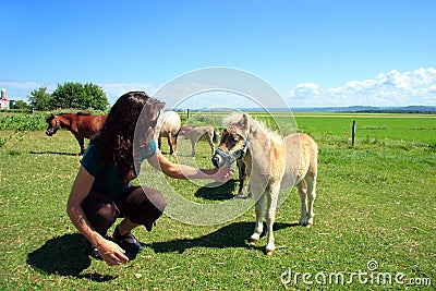 miniature horse and girl Stock Photo
