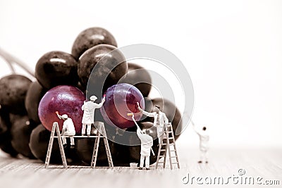 Miniature painters coloring red grapes. Macro photo Stock Photo