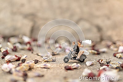 Miniature people : Couple riding the motorcycle in the garden Stock Photo