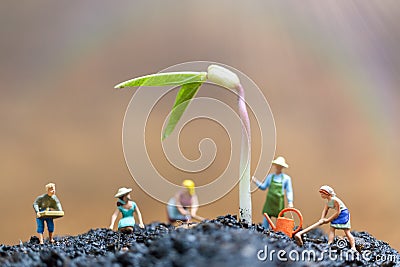 Miniature people , Gardeners take care growing sprout in field Stock Photo