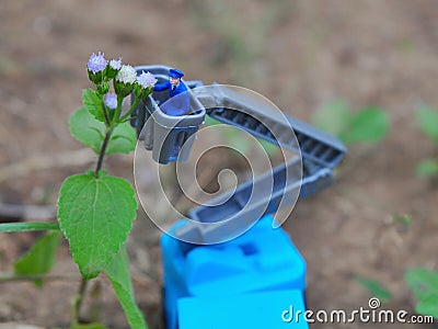 Miniature People and Toys: Gardener pruning tree using cherry picker Stock Photo