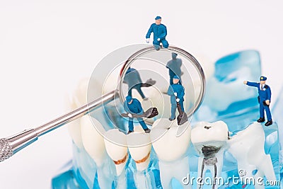 Miniature people use dental tool clean tooth or dental model Stock Photo