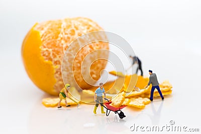Miniature people : Workers are peeling orange peels. Image use for teamwork, business concept Stock Photo