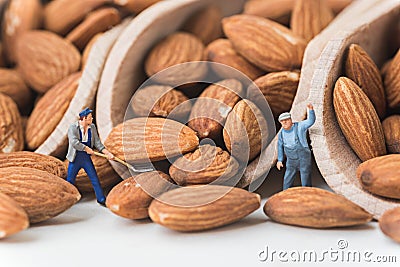 miniature people working on raw natural whole almonds in the scoop Stock Photo