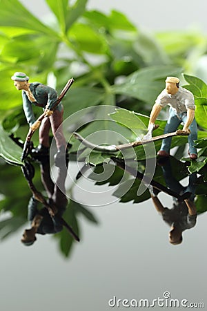 Miniature scale model gardeners with tools cutting flat leaf parsley Stock Photo