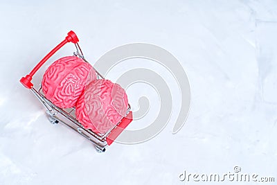 Miniature Shopping Trolley with Two Jelly-Like Human Brain Models Stock Photo