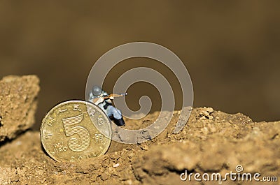 A miniature soldier are shooting. Stock Photo