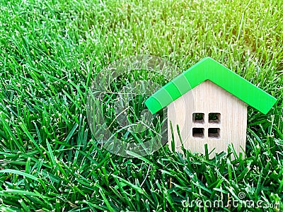 Miniature wooden house on green grass. Real estate concept. Eco-friendly and energy efficient house. Buying a home outside the Stock Photo
