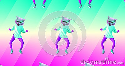 Minimal Animation Gif Art. Funny Cat Dancing Minimal Party Vibes Stock Video - Video of poster, animation: 191614657 Minimal Animation Gif Art. Funny Cat Dancing Minimal Party Vibes Stock Video - Video of poster, animation: 191614657