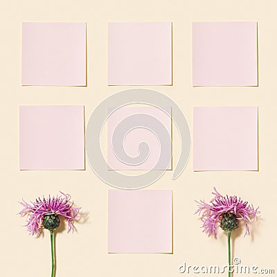 Minimal background with purple thorny wild flower and pink paper sticky for notes or messages, empty blank small papers Stock Photo