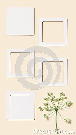Minimal background with wild flower and pink paper sticky for notes or messages, empty blank small papers for text Stock Photo