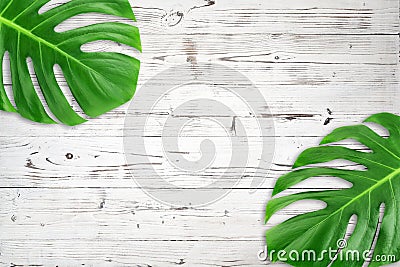 Minimal composition Flat lay green tropical leaf. Creative layout tropic leaves frame with copy space on white wood background. Stock Photo