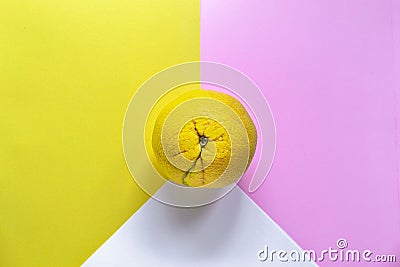 Minimal food concept. Lemon on a bright yellow-pink background. Free space for text. Top view. Minimalism. Creative citrus fruits Stock Photo