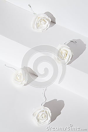 Minimal roses flowers on white trendy shadows space. Fashion still life art. Stylish winter. Geometric and object . Merry Stock Photo