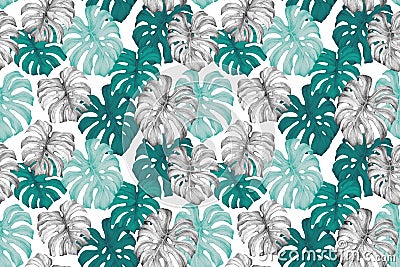 Minimal tropics background. Duo toned monstera leaves seamless pattern in turquoise green trendy colors Cartoon Illustration