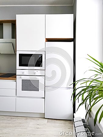 White kitchen Scandinavian interior with fridge, oven and microwave. Stock Photo