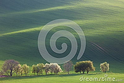 Minimalism Amazing Landscape for seasonal background or wallpapers Stock Photo