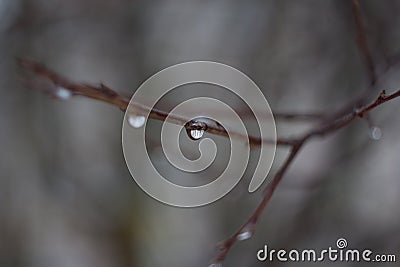 Minimalism of nature Stock Photo