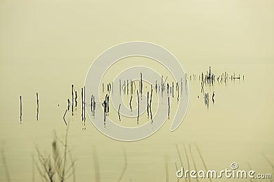 Minimalism Stock Photo