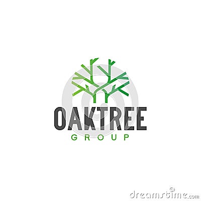 Minimalist design OAKTREE group green logo design Vector Illustration