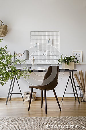 Minimalist drawings pinned to an organizer on a white wall in a Stock Photo