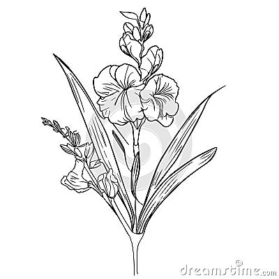 minimalist gladiolus flower tattoo, wrist gladiolus tattoo simple, women's gladiolus tattoo Vector Illustration