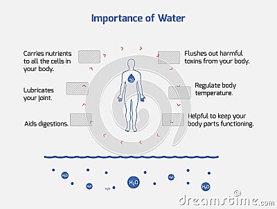 Importance of Water Infographic - Water, Health, Importance, Vector EPS 10 Vector Illustration