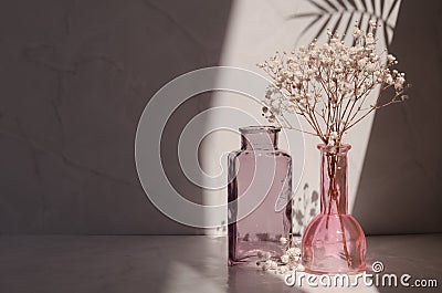 Modern still life with a glass vases and decorative gypsophila flowers. Stock Photo