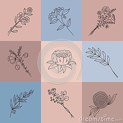 Minimalist line flowers. Simple poster with abstract meadow bouquet. Elegant outline flower, olive branch, herbs and Vector Illustration