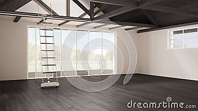 Minimalist mezzanine loft, empty industrial space, wooden roofing and parquet floor, scandinavian classic interior design with ga Stock Photo