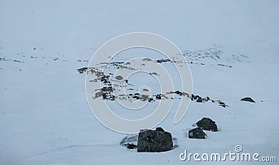 Minimalist Norwegian landscape of dark rock outcrops on snow-covered hill Stock Photo