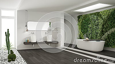 Minimalist white bathroom with vertical and succulent garden, wooden floor and pebbles, hotel, spa, modern interior design Stock Photo