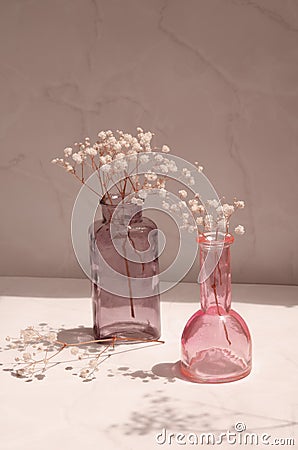 Modern still life with a glass vases and decorative gypsophila flowers. Stock Photo